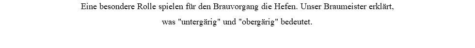 Eine besondere Rolle spielen für den Brauvorgang die Hefen. Unser Braumeister erklärt,  was "untergärig" und "obergärig" bedeutet.